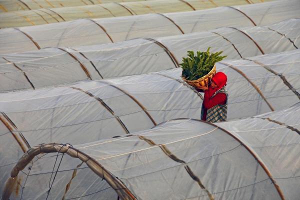 Winners of Adaptation Fund Photo Competition Announced