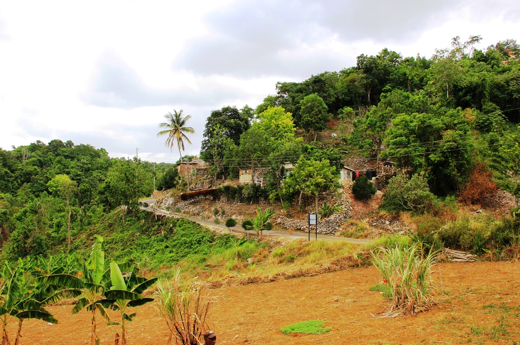 Two New Implementing Entities Accredited to Develop Adaptation Fund Projects