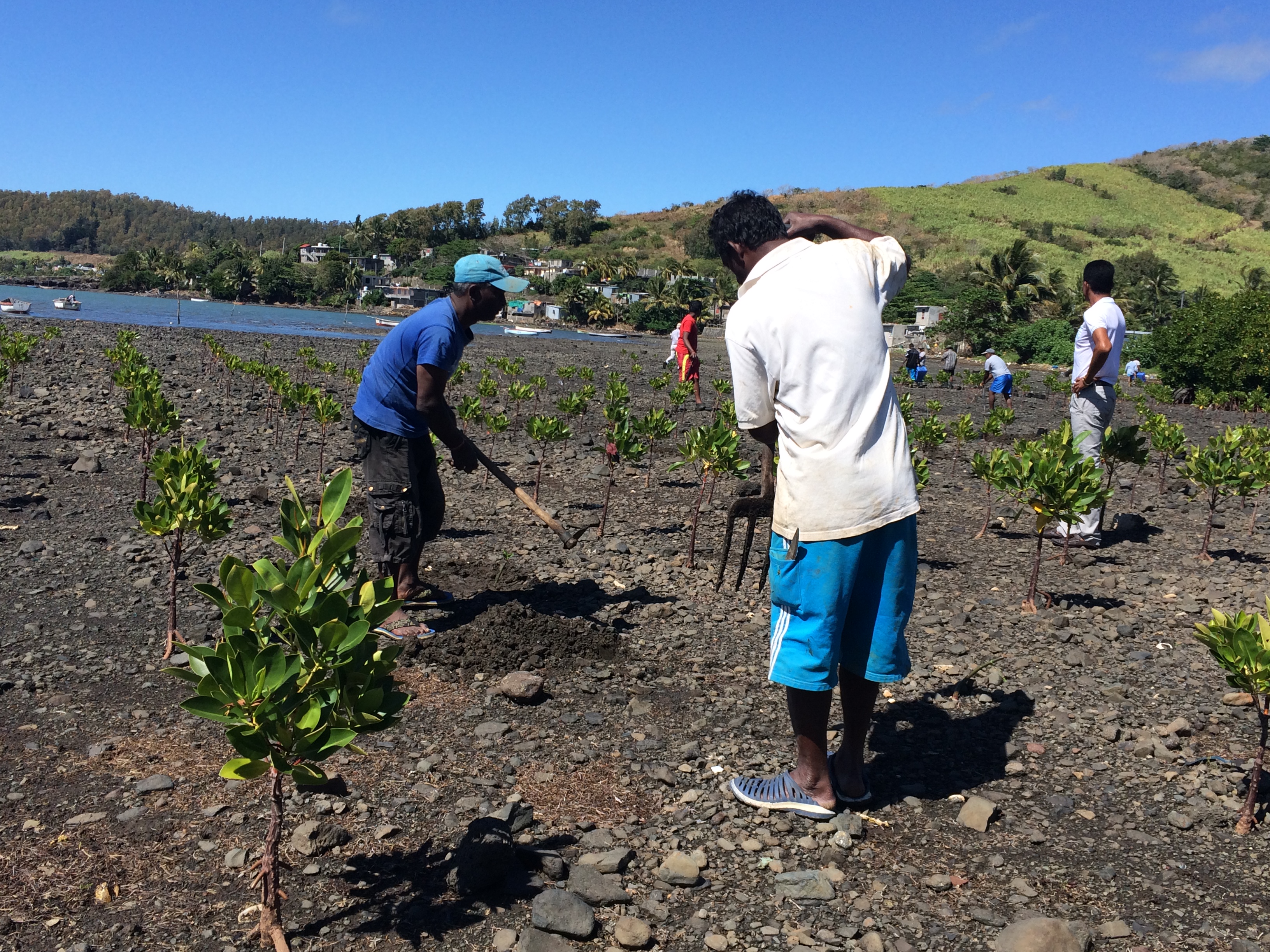 Adaptation Fund: Building Resilience to Climate Change and Disasters in Pacific and other Small Island Developing States