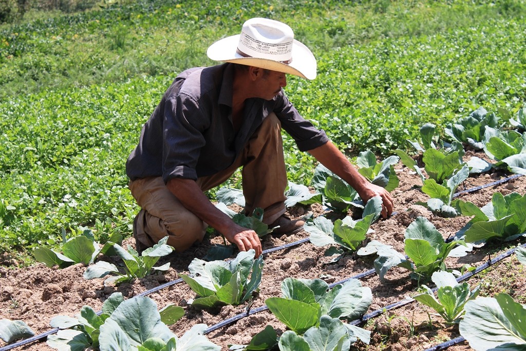 Adaptation Fund Delivers Climate Finance Readiness Workshop in Honduras for Latin America and Caribbean Region