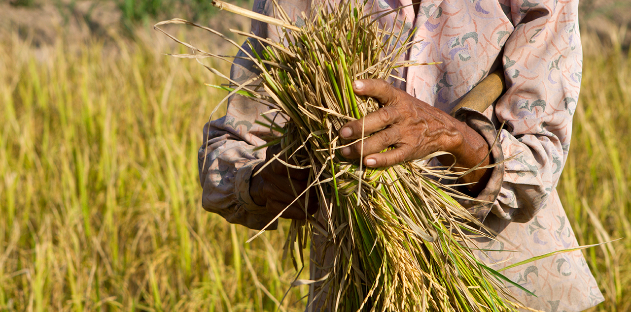 Adaptation Fund Climate Finance Readiness Workshop in Morocco Brings Attention to Water Scarce MENA Region