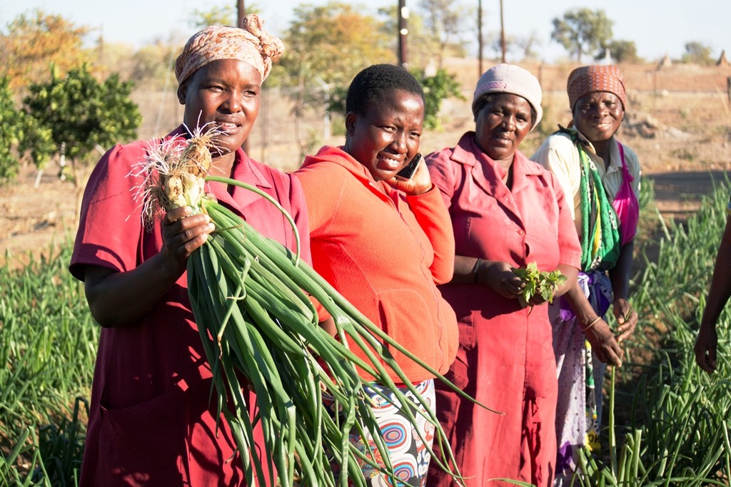 SANBI: Empowering Rural Small Farmers through Localized Projects