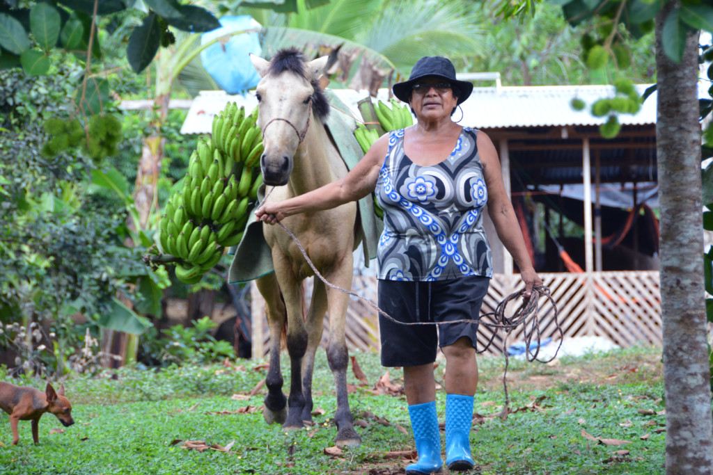 Adaptation Fund in Costa Rica