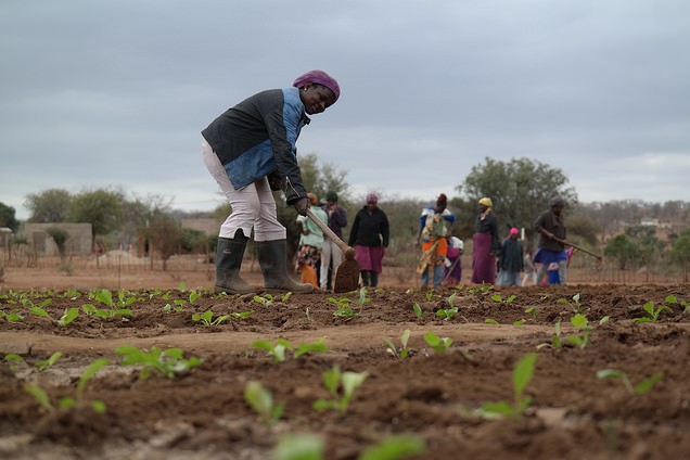Adaptation Fund In South Africa