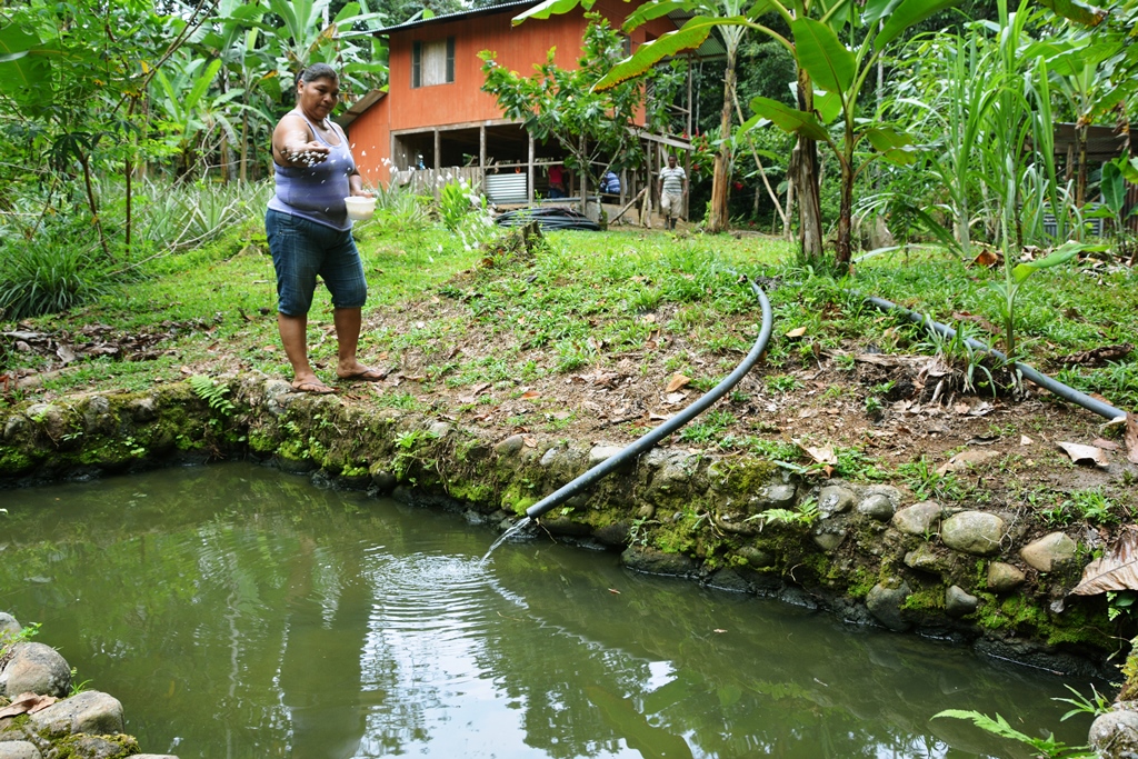Adaptation Fund Annual NIE Seminar to Draw More Than 20 National Partners from Around Globe