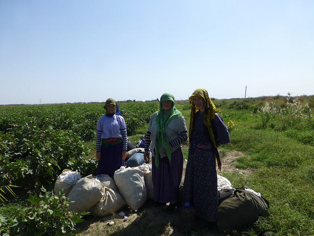 Building Climate Resiliency with UNDP