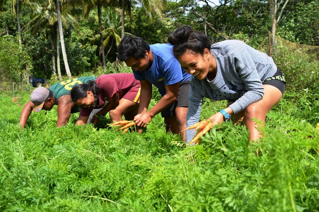 UNFCCC Article: Adaptation Fund at 10 Years: Pioneering Action, Innovation and Learning