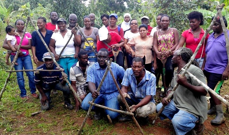 PIOJ: Small Farmers in Vulnerable Communities Reap Big Harvests from Game-Changing Adaptation Fund Programme