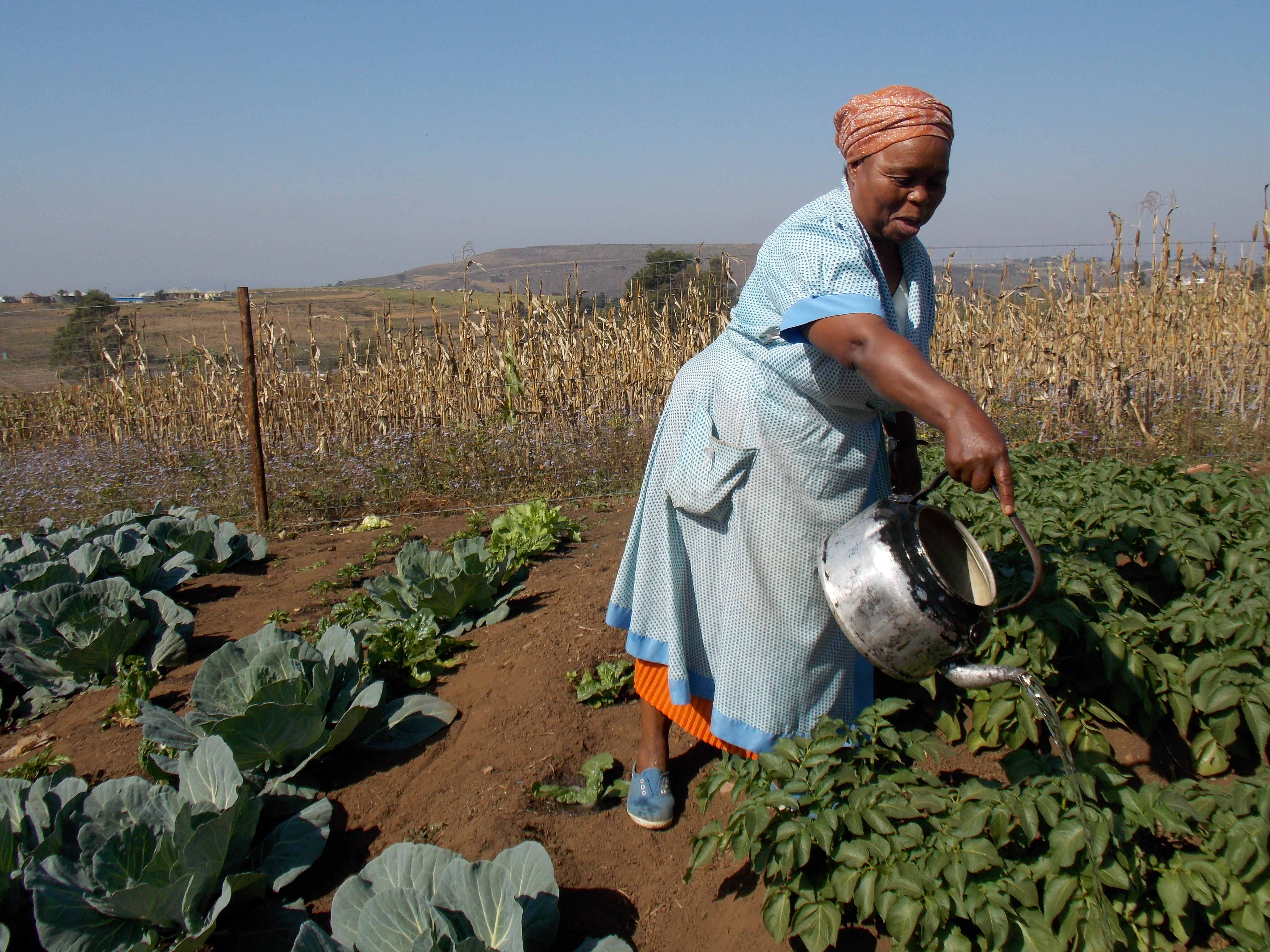 South Africa: Increasing Climate Resilience in Small-Scale Farmers through Integrated Adaptation