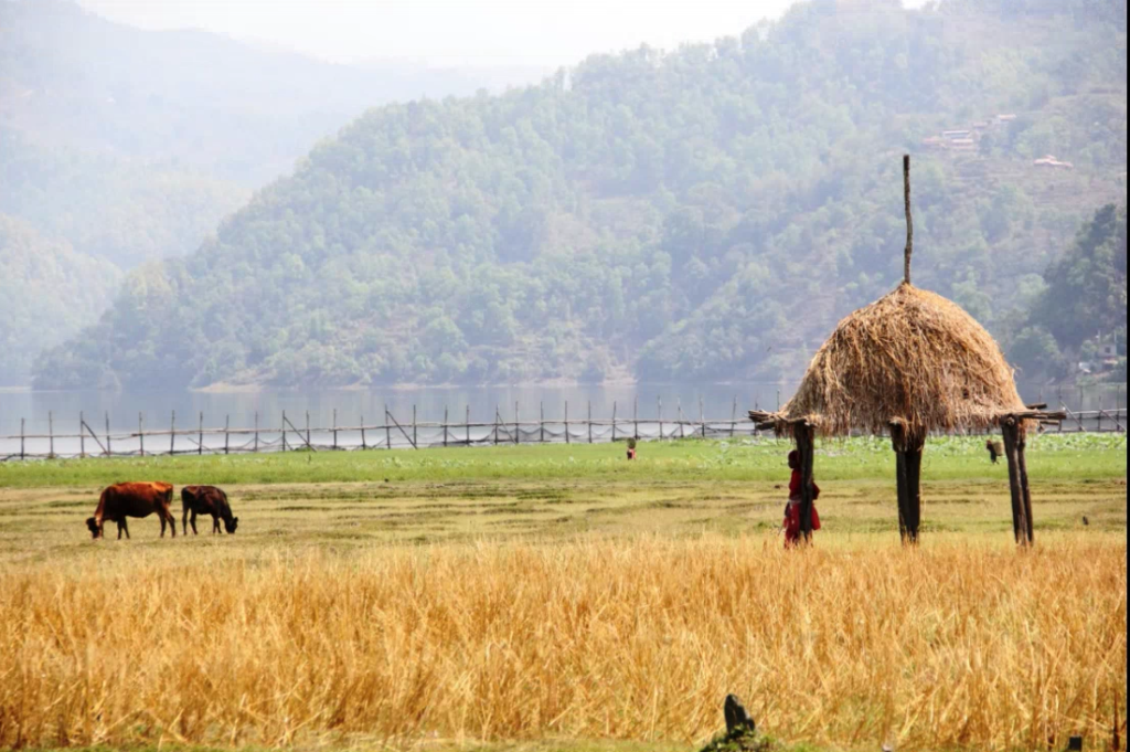 Adaptation Fund releases a five-year Medium-Term Strategy based on pillars of Action, Innovation and Learning & Sharing