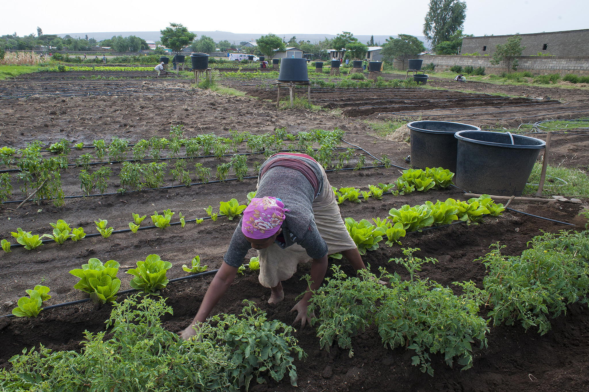New Project in Ethiopia Funded by Italy Replicates Model of Adaptation Fund-Financed Project in the Country