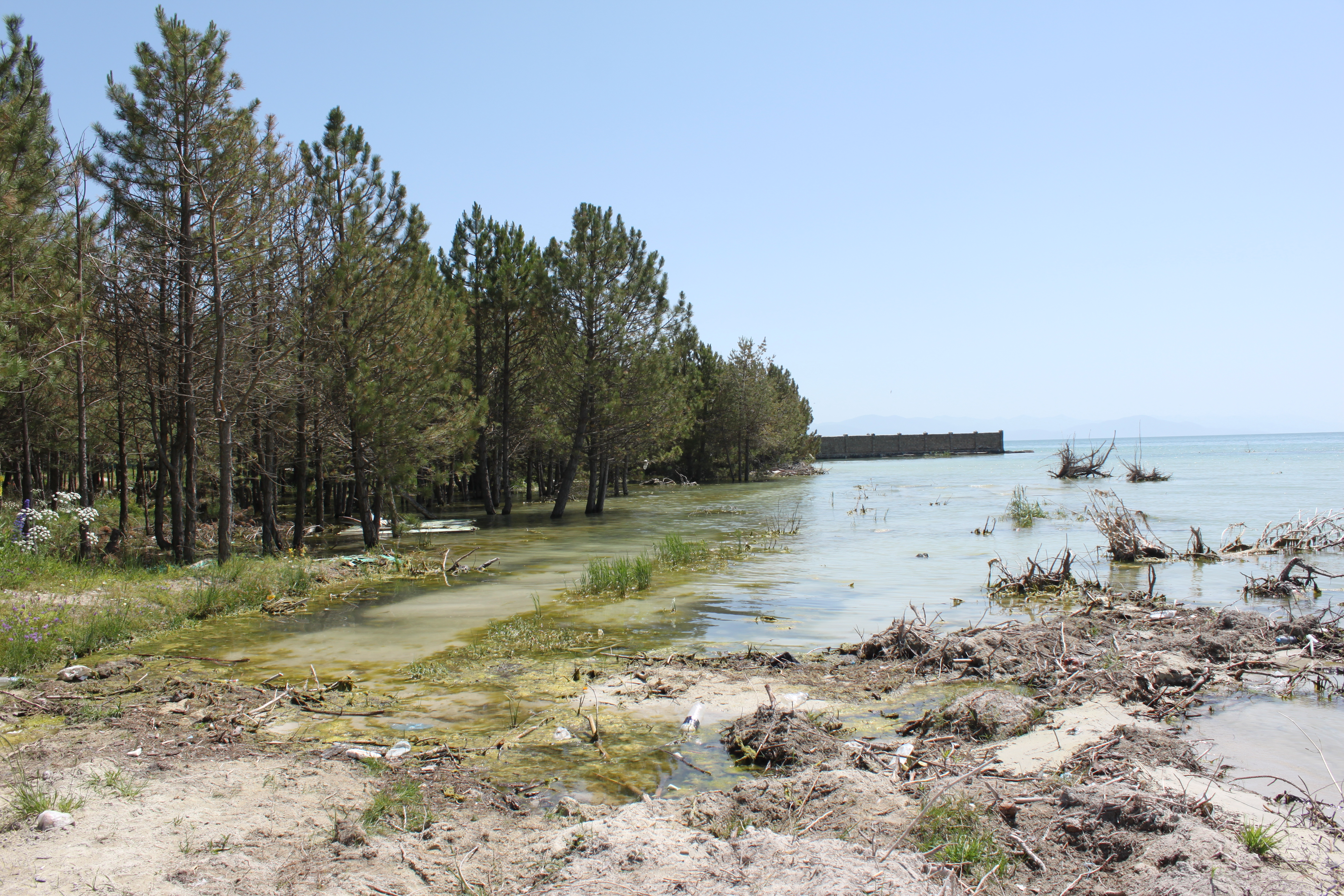 Adaptation Fund Receives New Record Numbers in Funding Requested and Project Proposals for 33rd Board Meeting