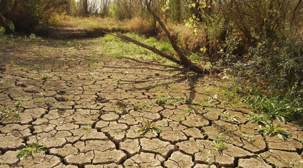 Adaptation Fund to Host Regional Workshop in Ghana with Goal to Enhance Climate Finance Readiness for Central African Countries