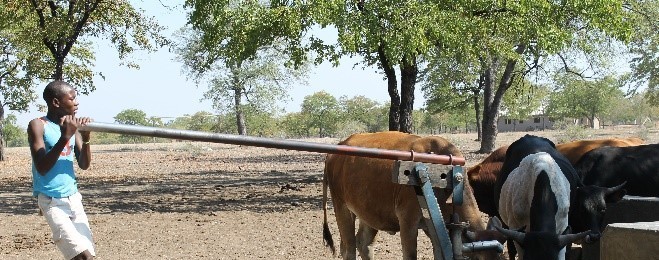 Adaptation Fund Opens Doors to Climate Finance to New National Implementing Partners in Zimbabwe and Tuvalu