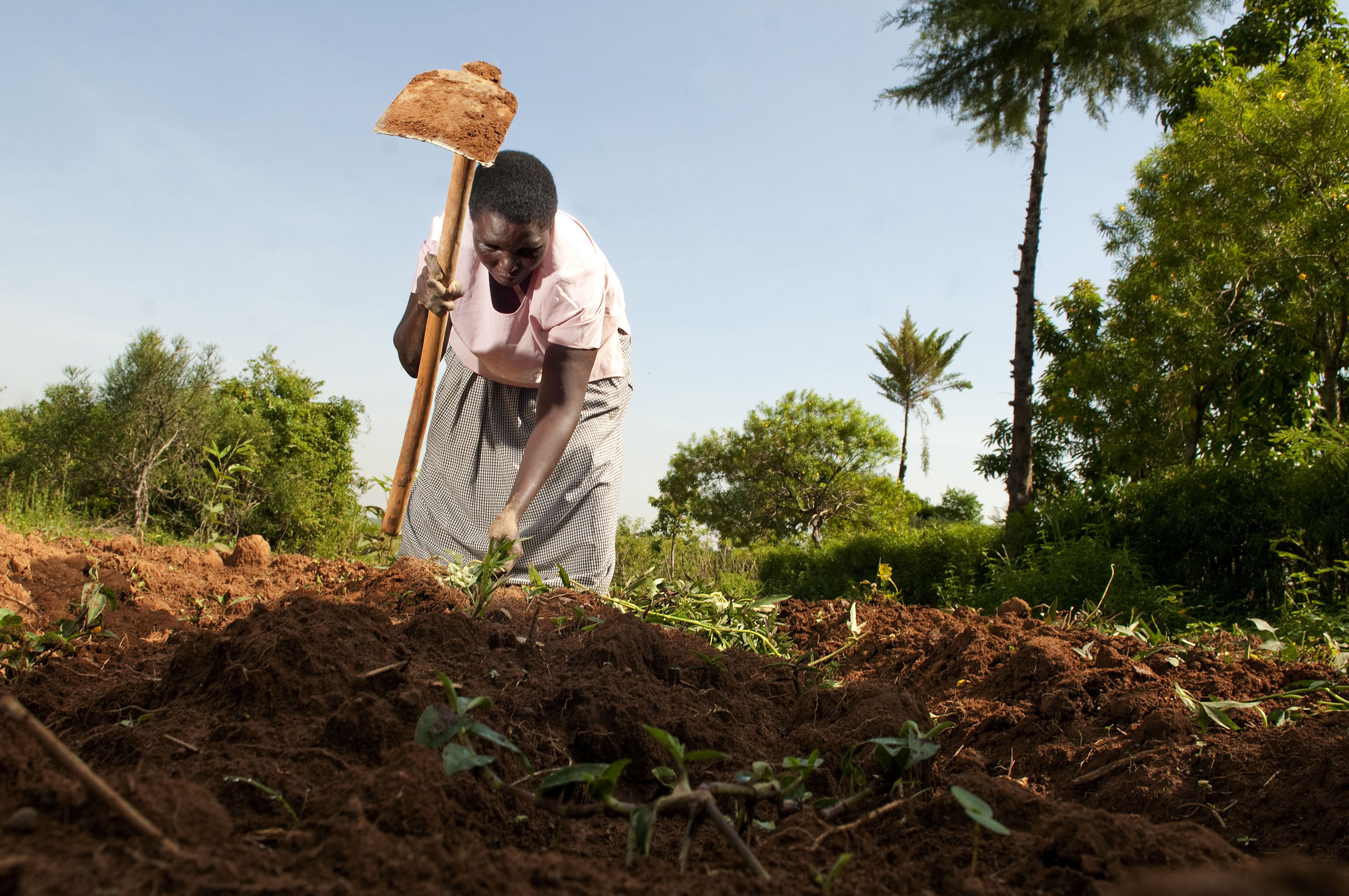Adaptation Fund Project Story- Regional Project in Ethiopia, Kenya and Uganda