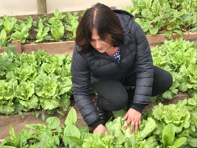 Adaptation Fund Project Story – Chile