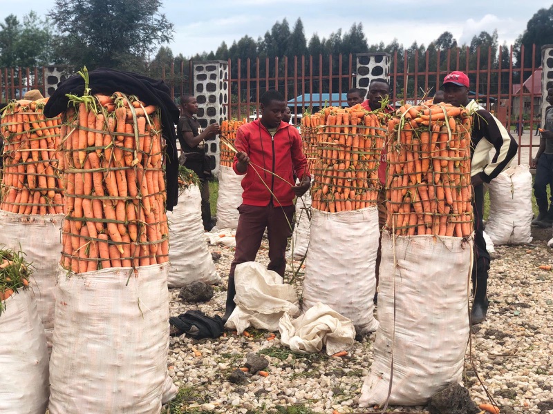 Adaptation Fund’s New E-Learning Course on Direct Access Designed to Help Countries and Stakeholders Unlock Climate Finance