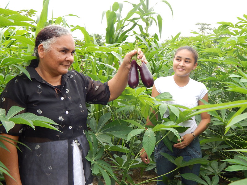 Adaptation Fund Year in Review: 2019 Key Highlights and Accomplishments