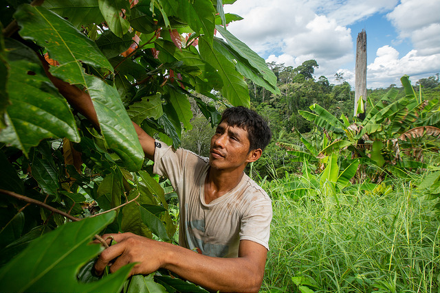 Enabling access to the funds: Profonanpe’s Adaptation Fund & Green Climate Fund accreditation experience