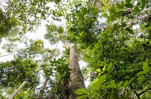 Becoming ‘climate finance ready’: Peru’s experience