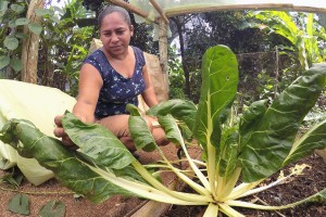 Adaptation finance readiness in Costa Rica