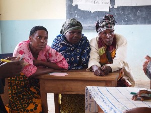 Meeting the Adaptation Fund’s environmental, social and gender requirements – expert insights