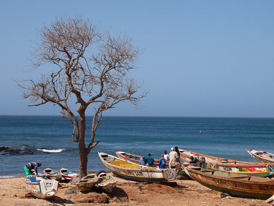 CASE STUDY: Direct access to the Adaptation Fund – lessons from accrediting NIEs in Jamaica and Senegal