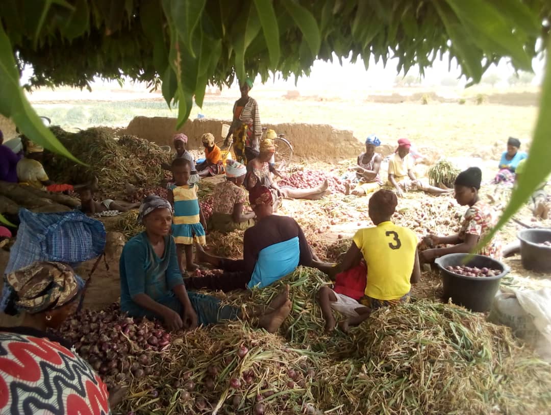 Adaptation Fund Projects Build Climate Resilience While Promoting Sustainable Development