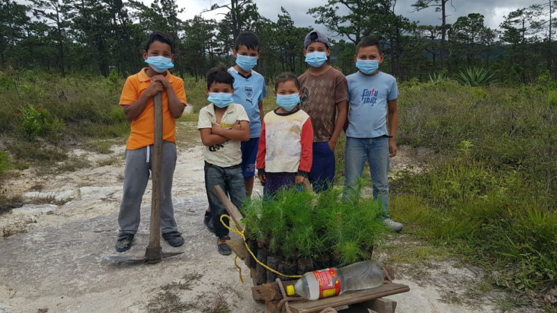 Climate change adaptation projects continue amid coronavirus pandemic