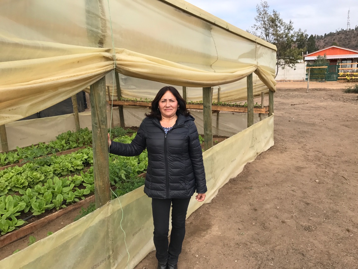 BLOG: Value of Re-Accreditation in Advancing Adaptation Practices on the Ground