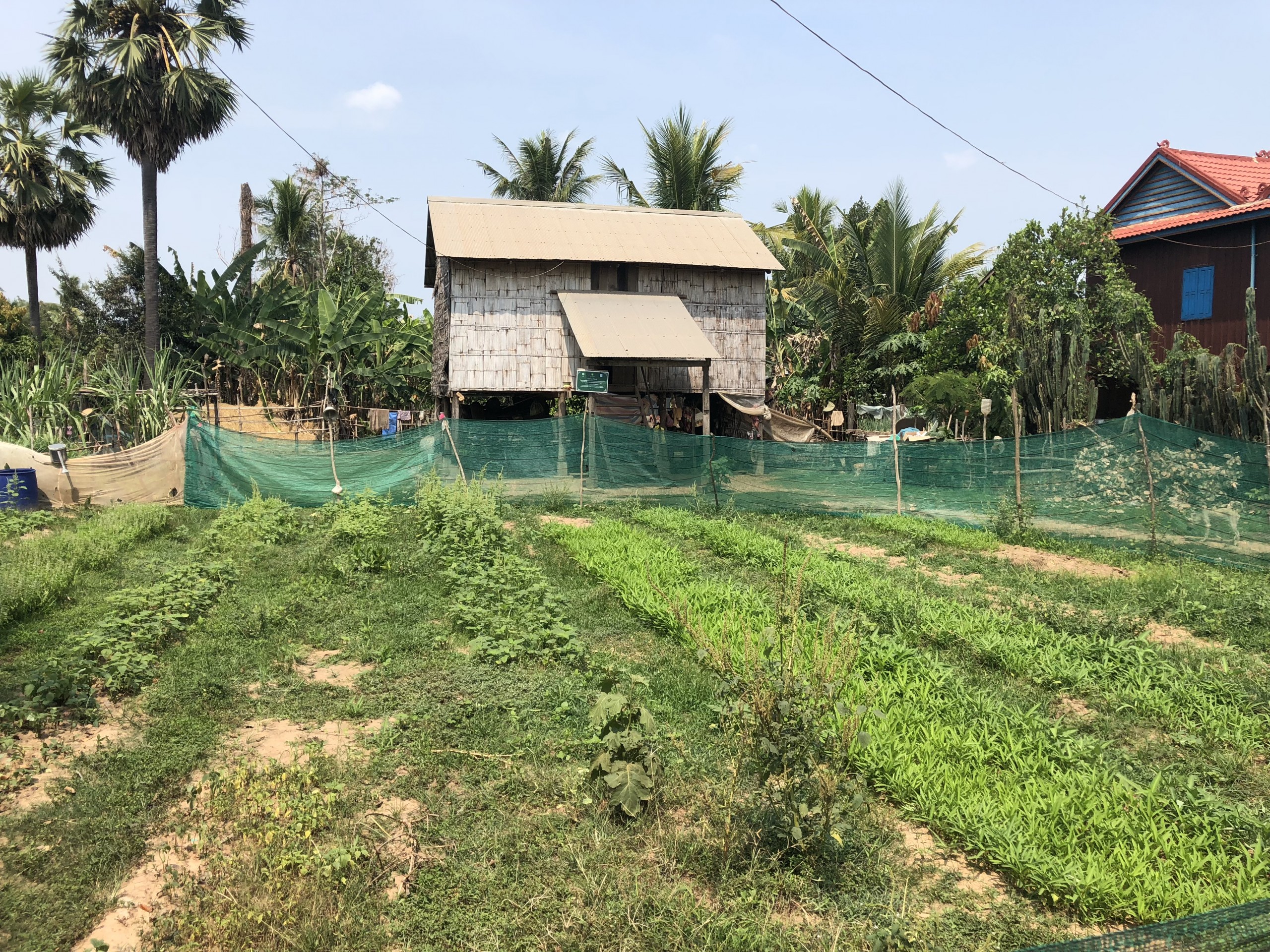 Adaptation Fund Accredits UNIDO as its 52nd Implementing Entity to Further Adaptation Action