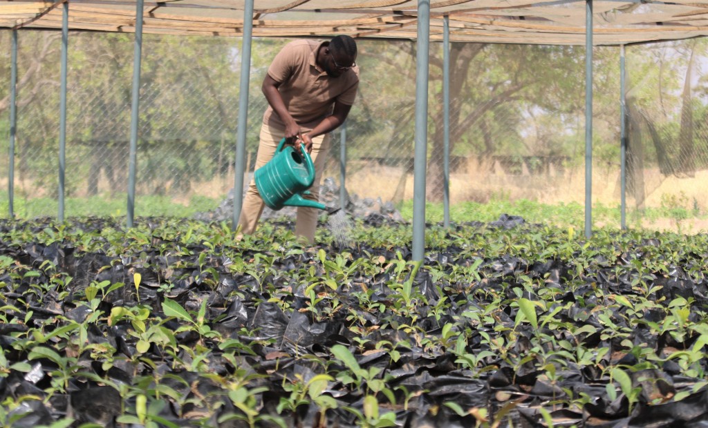 UNDP Ghana: Greening agricultural produce for people and the planet: the story of a Social Entrepreneur in Ghana