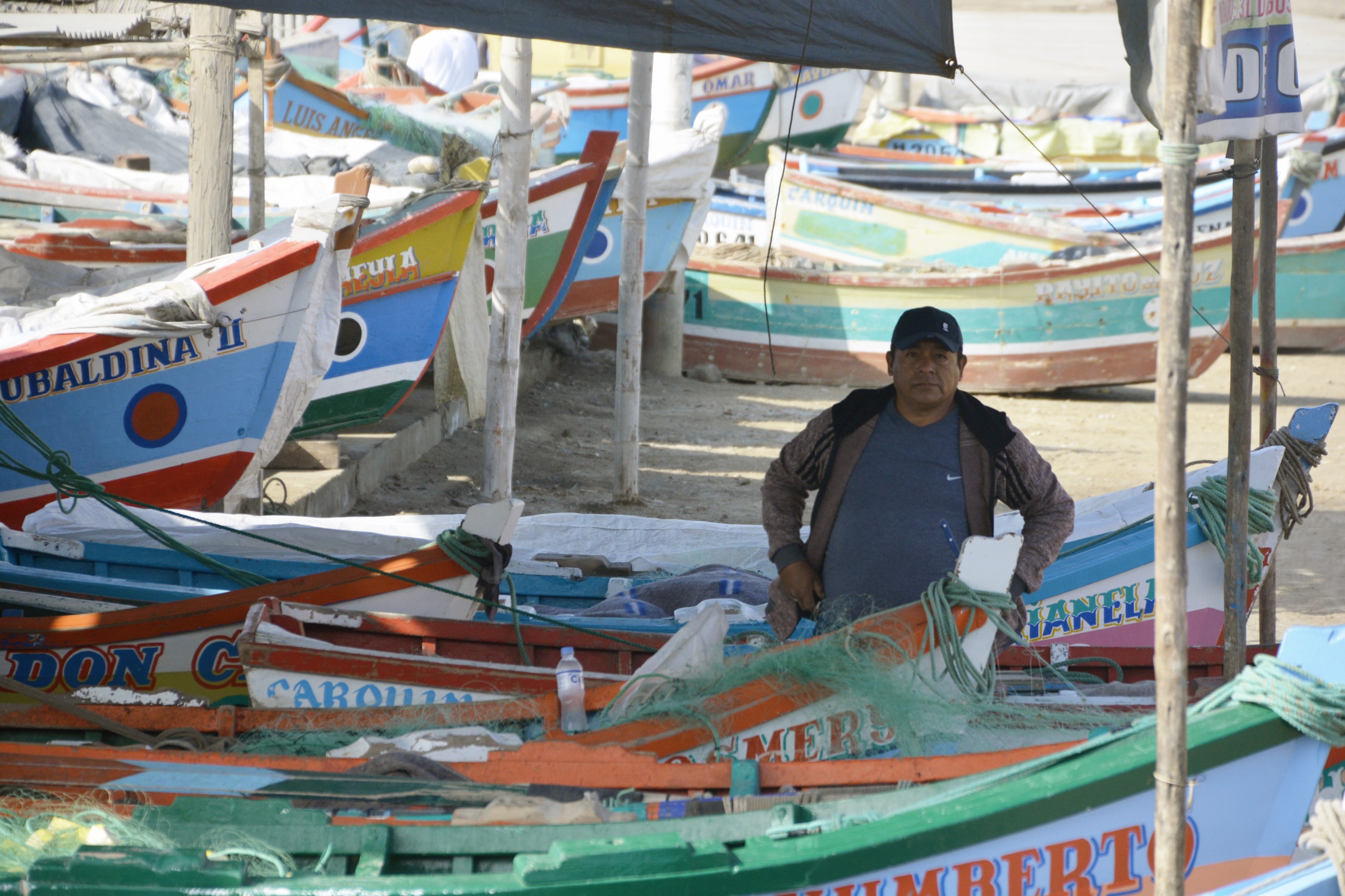 Adaptation Fund Project Story – Peru