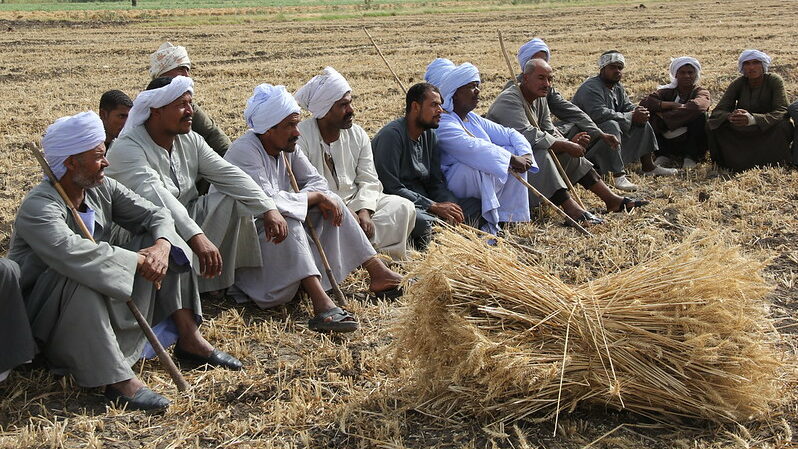 How adaptive technology is the focus of an extended Egyptian climate project