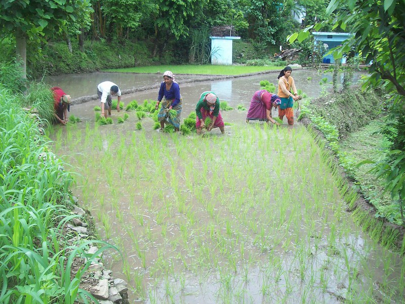 Adaptation Fund Receives US$ 6 Million from Japan in Country’s First Ever Contribution to Fund
