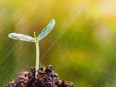 [UNDP] UNDP and the Adaptation Fund Climate Innovation Accelerator announce US$2.2 million in grants