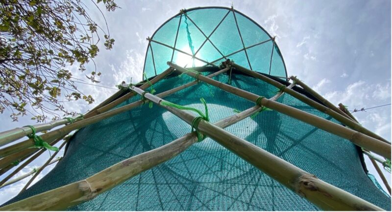 Fog catchers: improving Mexico’s climate resilience using traditional knowledge