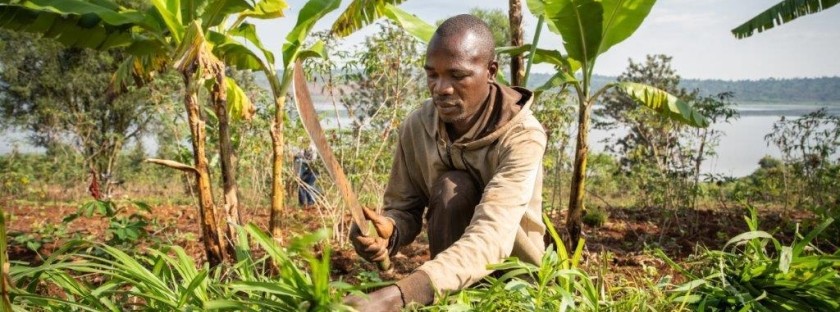 [UNEP]: Farmers adapt to climate crisis on Burundi’s precarious hillsides