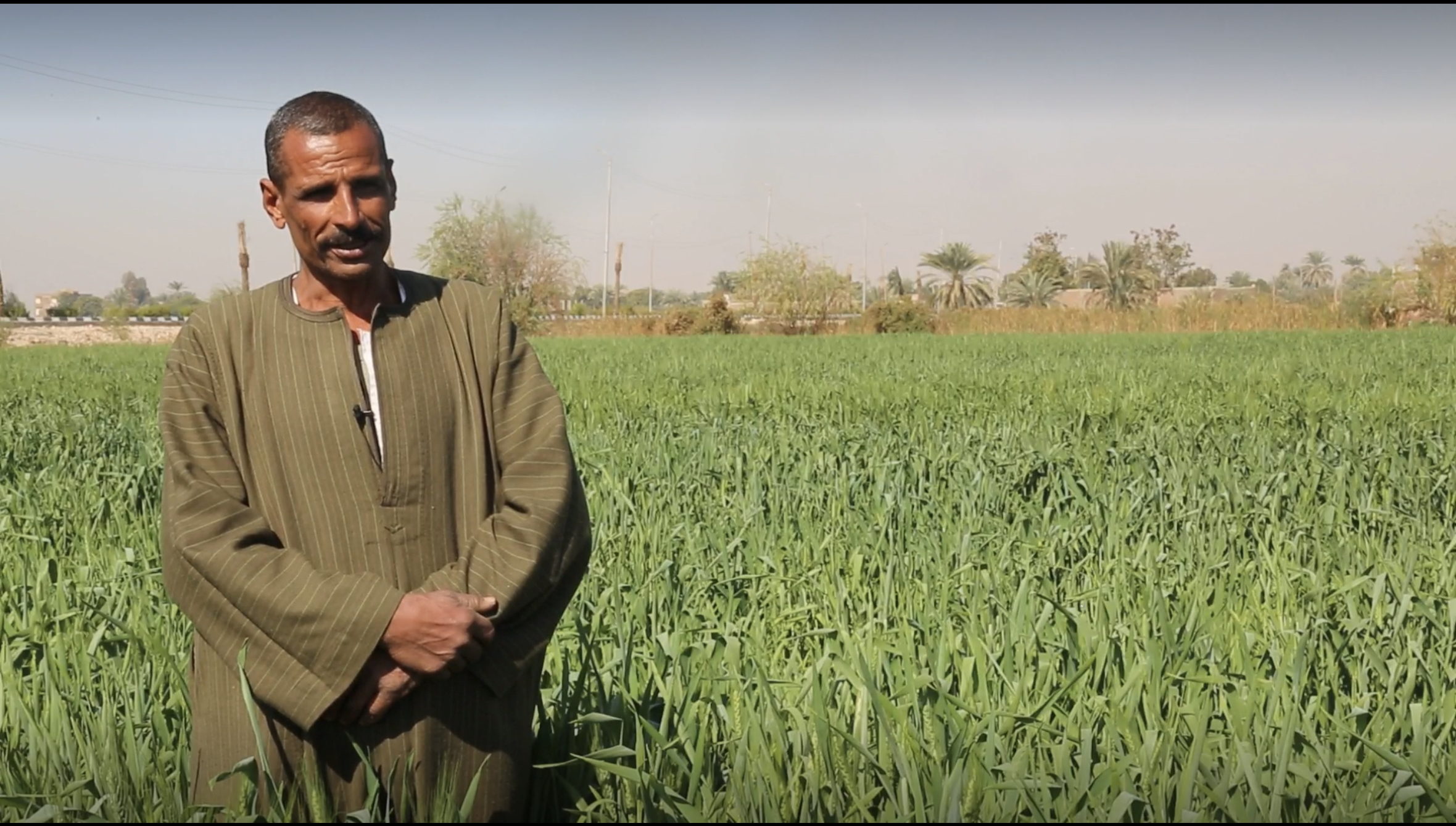Project Story- Adaptation Fund in Egypt