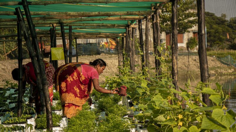 [Project Story] Floating farms are transforming life on India’s waterways