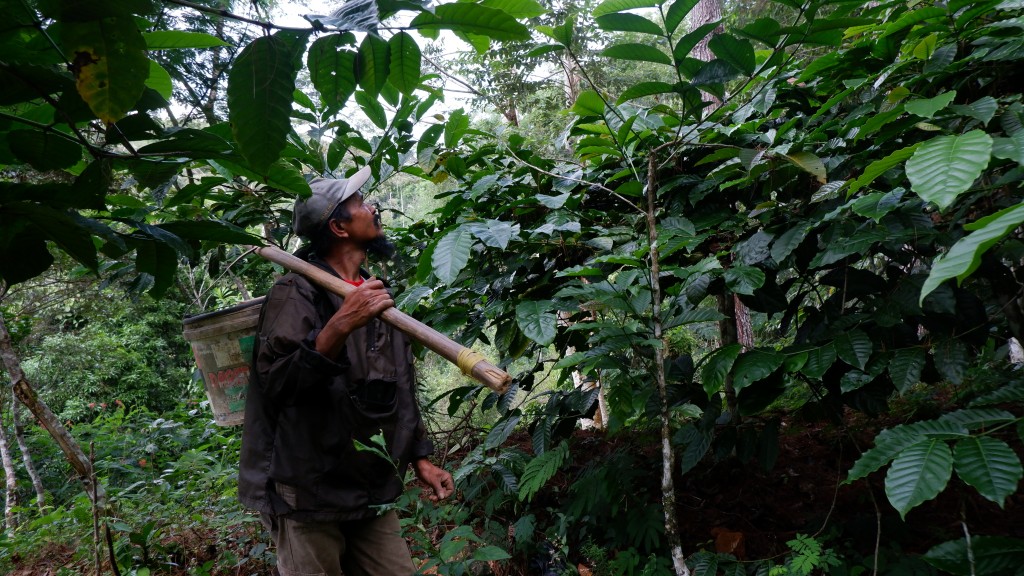 [Project Story] Adaptation Fund in Indonesia