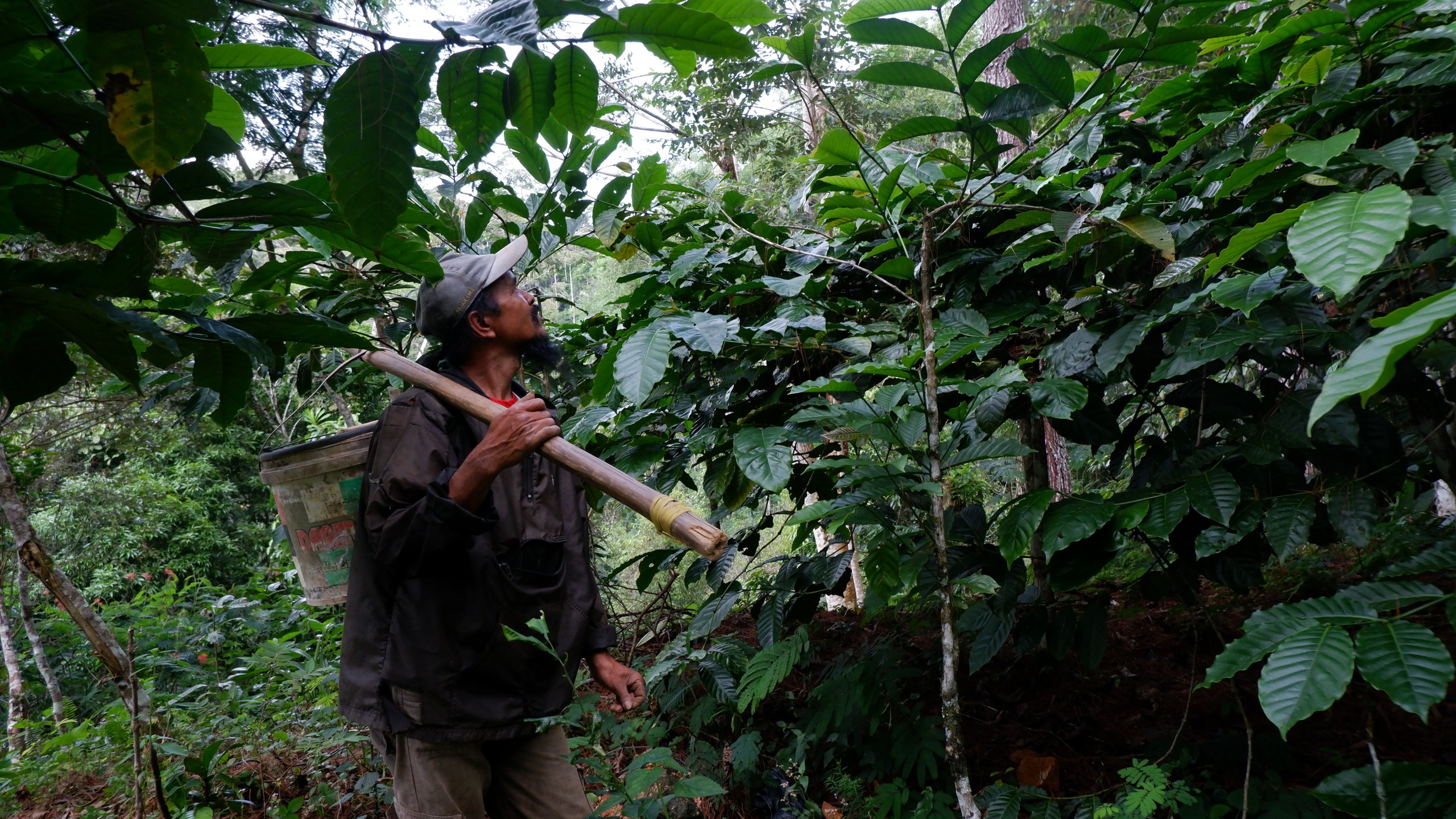 [Project Story] Adaptation Fund in Indonesia