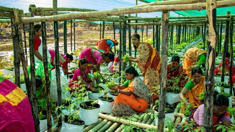 [Project Story] Adaptation Fund in India: Floating Farms Turning the Tide in India