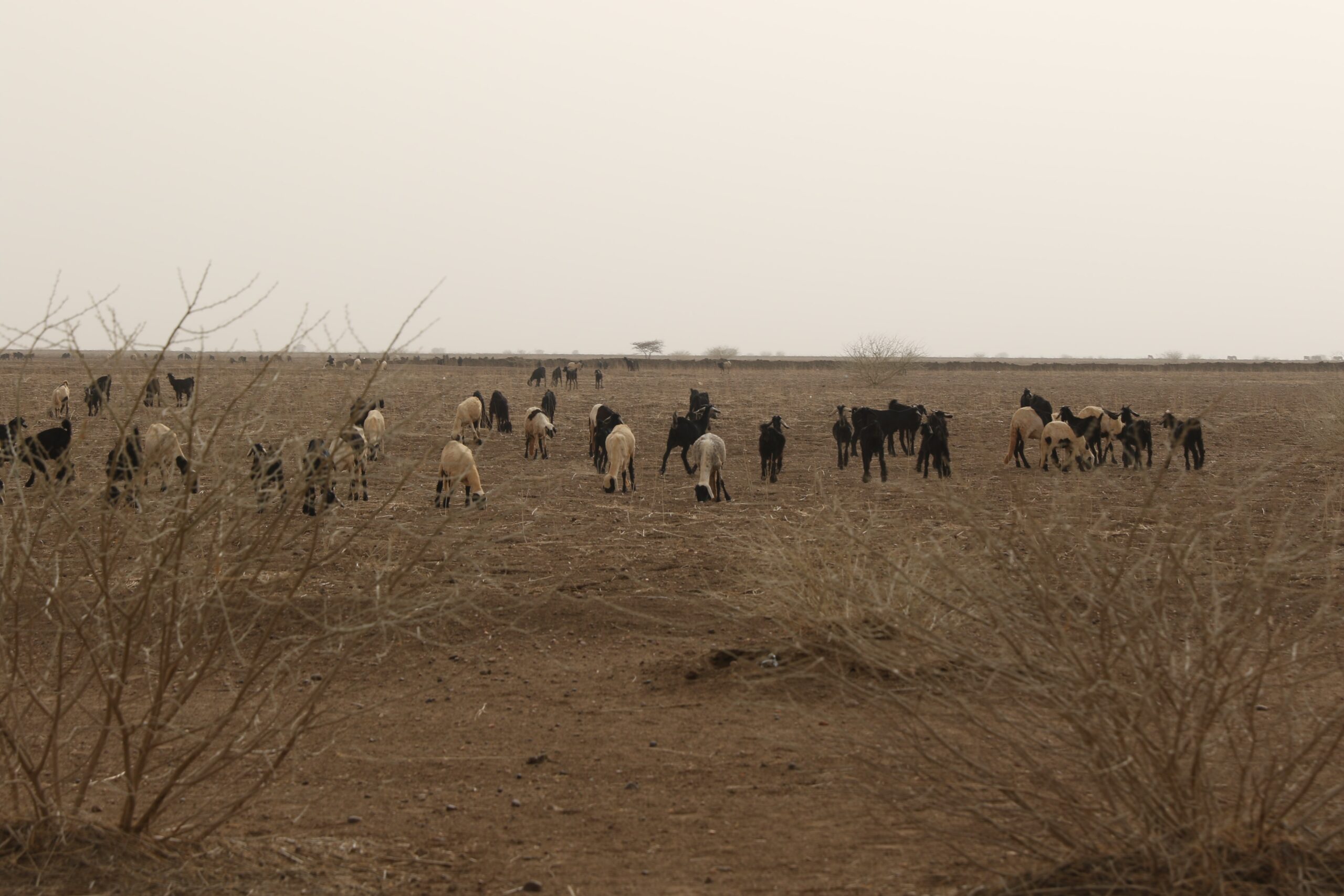 [Project Story] Disaster risk reduction needs to sit at the heart of climate adaptation