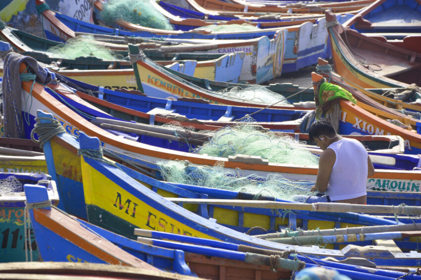 Sustainable fishing offers lifeline to communities hit by climate crisis