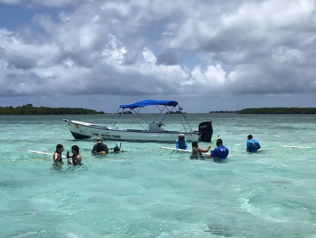 Adaptation Fund Reaccreditations of World Bank and Asian Development Bank Help Unlock More Options for Climate-Vulnerable Countries