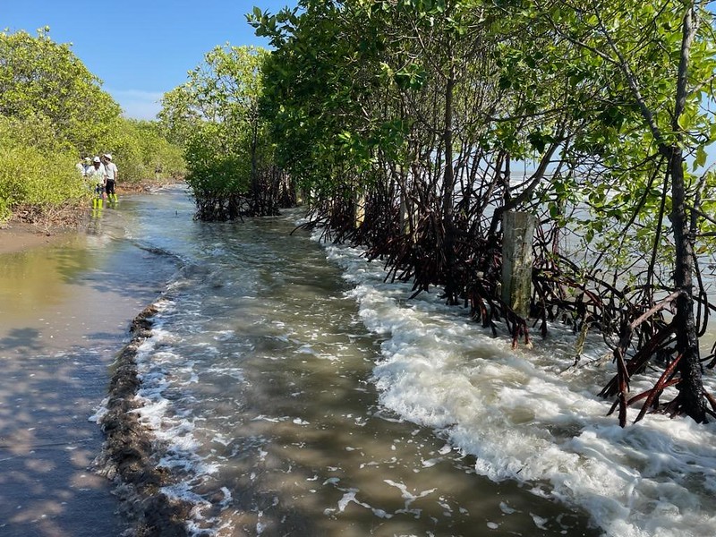 Adaptation Fund Stands Poised to Continue to Deliver to Most Vulnerable, Amid Release of Telling Adaptation Gap Report