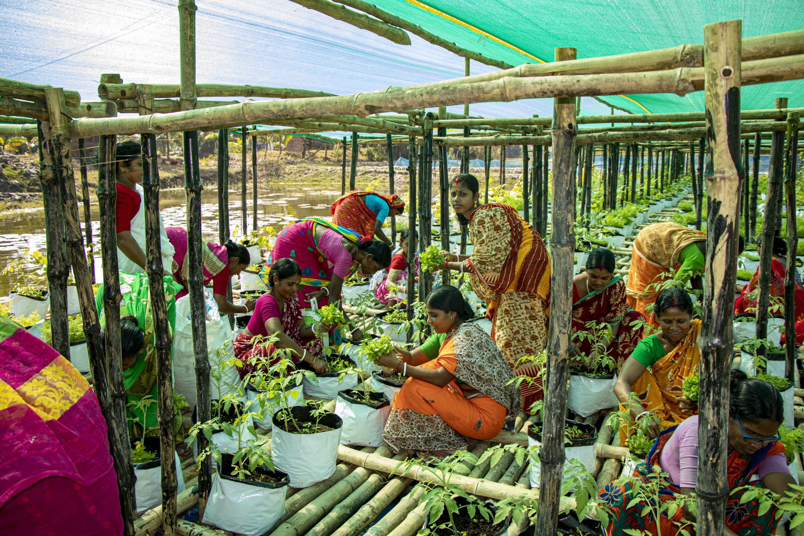 Have your Say! Shaping a new funding modality for locally led adaptation