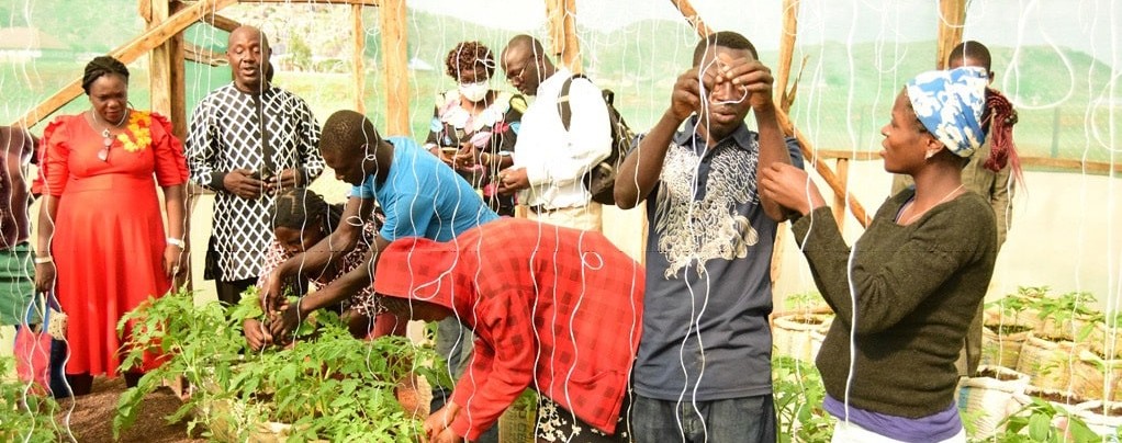 [ICCCAD]: SUSTAINABILITY | A Small Grant’s Big Impact on Ensuring Sustainable Harvests in Nigeria