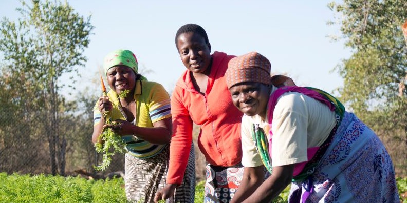 Finance flowing for locally led climate adaptation